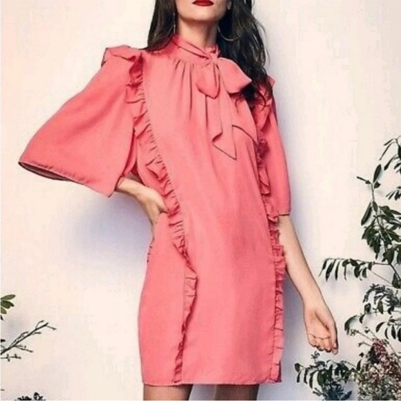 Happy X Nature Pink Ruffle Mini Shift Dress NWT - Picture 1 of 10
